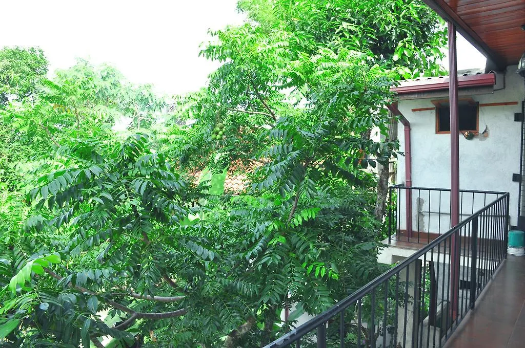 Ajanthas' Homestay 康提